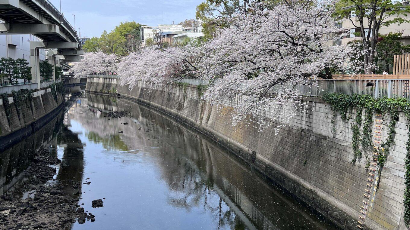 江戸川橋