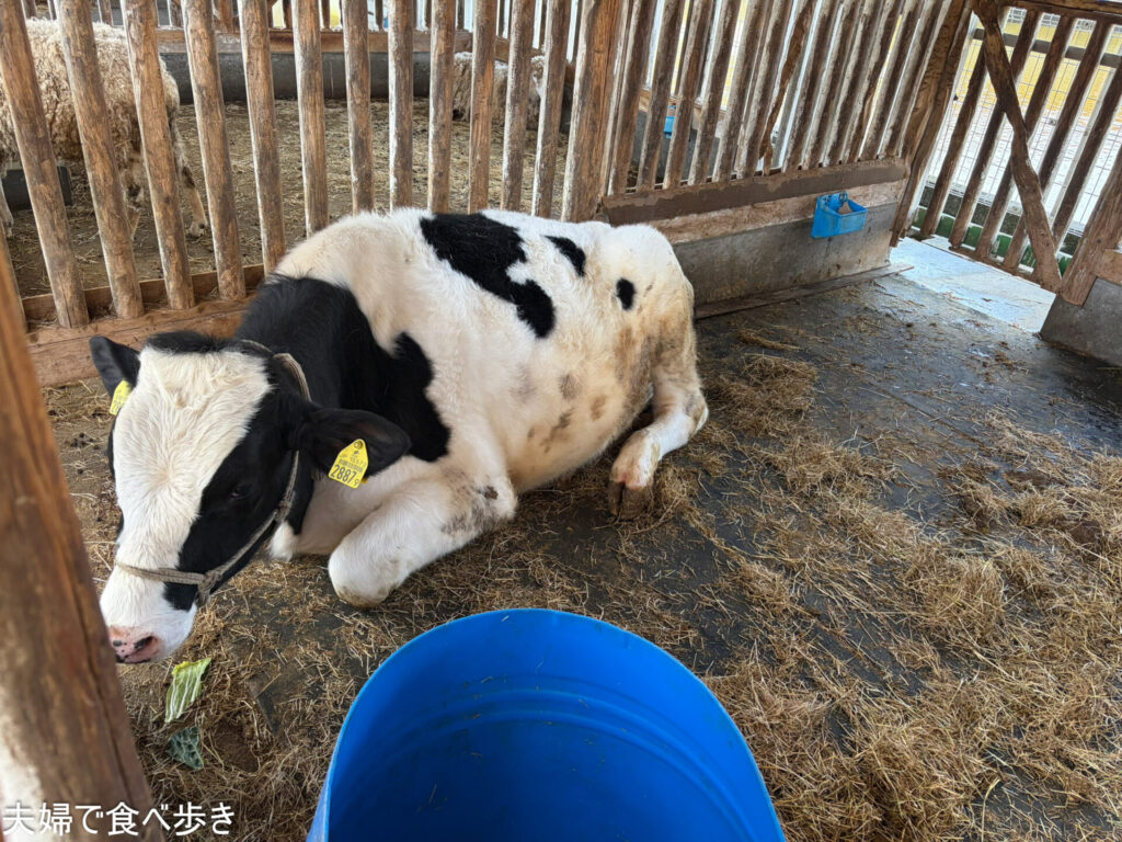 69uSEABAAAAAAAAAAAAAAAAAAAAAAAAAAAAAAAAAAAAAAAAAAAAAAAAAAAAAAAAAAAAAAAAAAAAAAAAAAAAAAAAAAAAAAAAAAAAAAAAAAAAAAAAAAAAAAAAAAAAAAAAAAAAAADvBoMPAAHlAN1UAAAAAElFTkSuQmCC