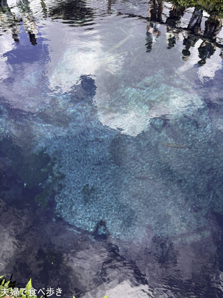 忍野八海と蕎麦