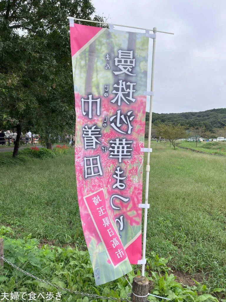 巾着田の曼殊沙華