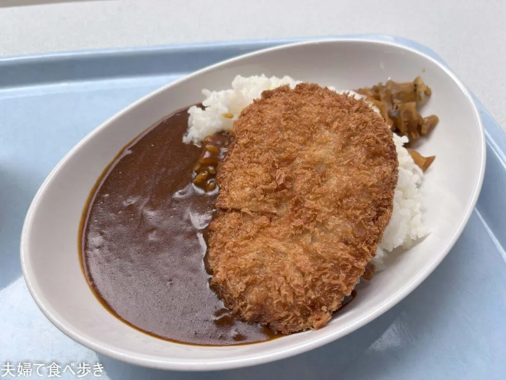  武蔵野美術大学 第2食堂 学食でカツカレー食べていこう