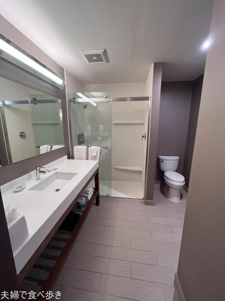 サンフランシスコへの旅