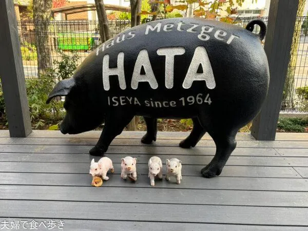 HATA