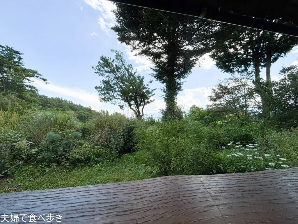 森を吹き抜ける風のカフェ