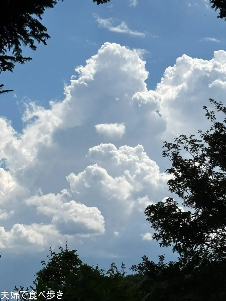 森を吹き抜ける風のカフェ