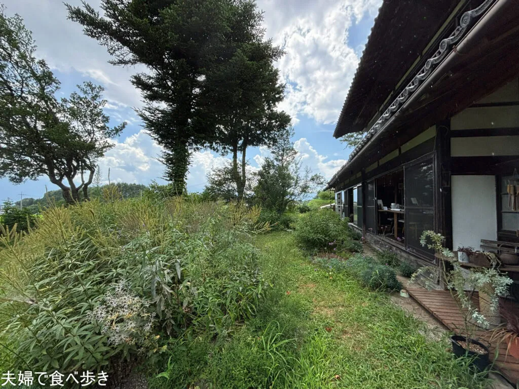 森を吹き抜ける風のカフェ